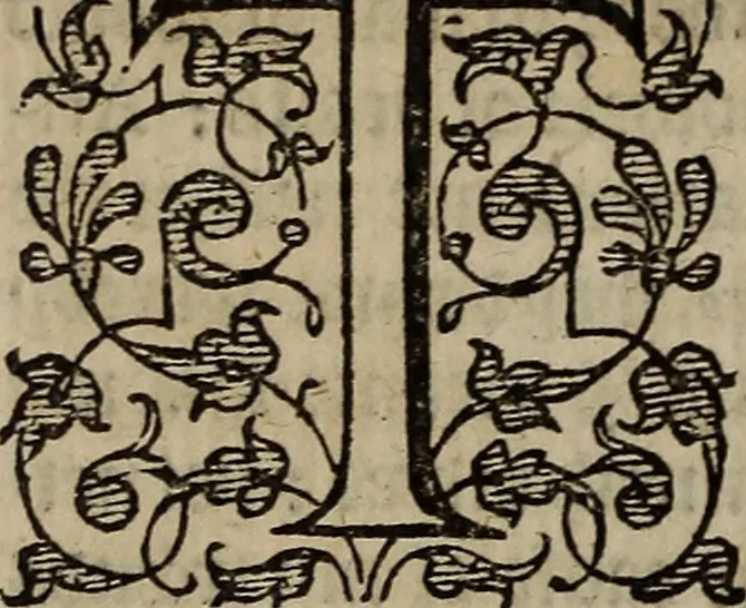 An illustration from The discouerie of witchcraft, : wherein the lewde dealing of witches and witchmongers is notablie detected, the knauerie of coniurors, the impietie of inchantors, the follie of soothsaiers, the impudent falshood of cousenors, the infidelitie of atheists, the pestilent practices of Pythonists, the curiositie of figure casters, the vanitie of dreamers, the beggerlie art of alcumystrie, the abhomination of idolatrie, the horrible art of poisoning, the vertue and power of naturall magike, and all the conueiances of legierdemaine and iuggling are deciphered: and many other things opened, which have long lien hidden, howbeit verie necessarie to be knowne. : Heerevnto is added a treatise vpon the nature and substance of spirits and diuels, & c, 1584, leaf 241