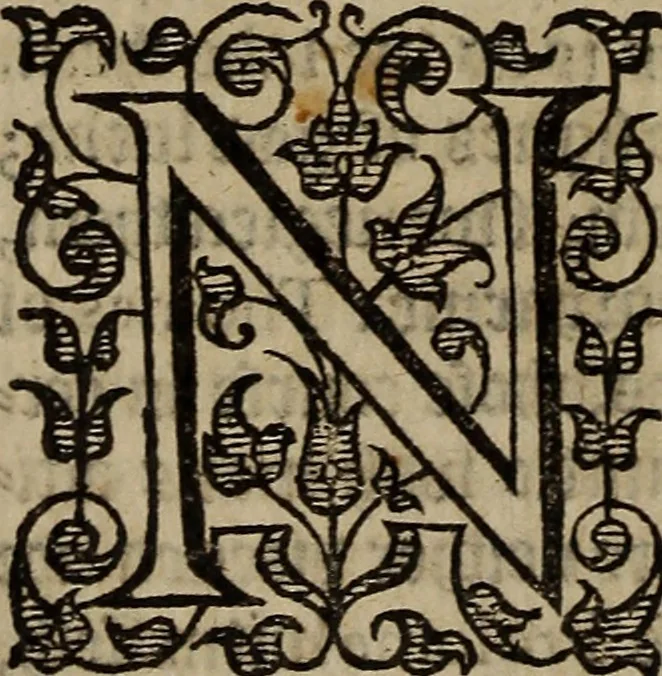 An illustration from The discouerie of witchcraft, : wherein the lewde dealing of witches and witchmongers is notablie detected, the knauerie of coniurors, the impietie of inchantors, the follie of soothsaiers, the impudent falshood of cousenors, the infidelitie of atheists, the pestilent practices of Pythonists, the curiositie of figure casters, the vanitie of dreamers, the beggerlie art of alcumystrie, the abhomination of idolatrie, the horrible art of poisoning, the vertue and power of naturall magike, and all the conueiances of legierdemaine and iuggling are deciphered: and many other things opened, which have long lien hidden, howbeit verie necessarie to be knowne. : Heerevnto is added a treatise vpon the nature and substance of spirits and diuels, & c, 1584, leaf 241