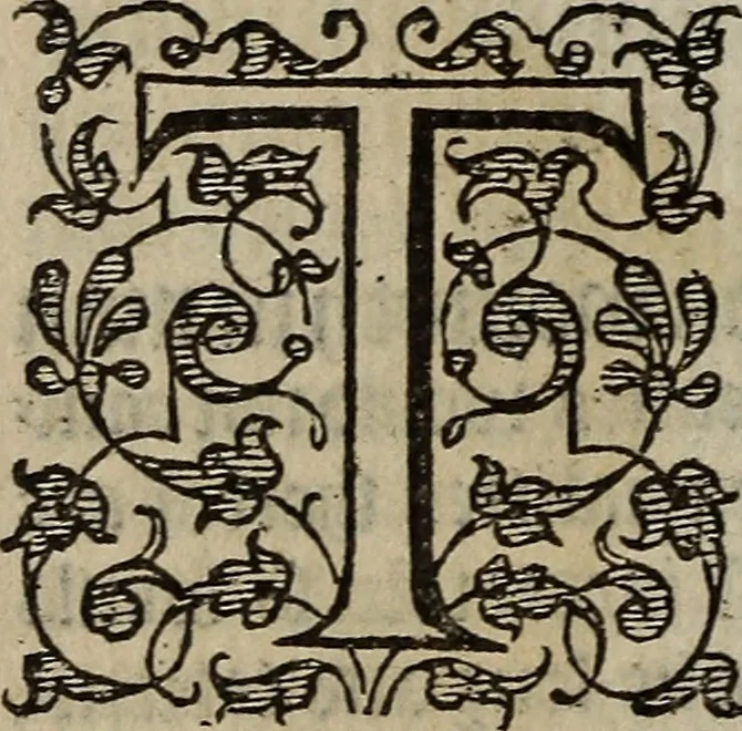 An illustration from The discouerie of witchcraft, : wherein the lewde dealing of witches and witchmongers is notablie detected, the knauerie of coniurors, the impietie of inchantors, the follie of soothsaiers, the impudent falshood of cousenors, the infidelitie of atheists, the pestilent practices of Pythonists, the curiositie of figure casters, the vanitie of dreamers, the beggerlie art of alcumystrie, the abhomination of idolatrie, the horrible art of poisoning, the vertue and power of naturall magike, and all the conueiances of legierdemaine and iuggling are deciphered: and many other things opened, which have long lien hidden, howbeit verie necessarie to be knowne. : Heerevnto is added a treatise vpon the nature and substance of spirits and diuels, & c, 1584, leaf 243