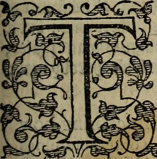 An illustration from The discouerie of witchcraft, : wherein the lewde dealing of witches and witchmongers is notablie detected, the knauerie of coniurors, the impietie of inchantors, the follie of soothsaiers, the impudent falshood of cousenors, the infidelitie of atheists, the pestilent practices of Pythonists, the curiositie of figure casters, the vanitie of dreamers, the beggerlie art of alcumystrie, the abhomination of idolatrie, the horrible art of poisoning, the vertue and power of naturall magike, and all the conueiances of legierdemaine and iuggling are deciphered: and many other things opened, which have long lien hidden, howbeit verie necessarie to be knowne. : Heerevnto is added a treatise vpon the nature and substance of spirits and diuels, & c, 1584, leaf 250