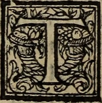 An illustration from The discouerie of witchcraft, : wherein the lewde dealing of witches and witchmongers is notablie detected, the knauerie of coniurors, the impietie of inchantors, the follie of soothsaiers, the impudent falshood of cousenors, the infidelitie of atheists, the pestilent practices of Pythonists, the curiositie of figure casters, the vanitie of dreamers, the beggerlie art of alcumystrie, the abhomination of idolatrie, the horrible art of poisoning, the vertue and power of naturall magike, and all the conueiances of legierdemaine and iuggling are deciphered: and many other things opened, which have long lien hidden, howbeit verie necessarie to be knowne. : Heerevnto is added a treatise vpon the nature and substance of spirits and diuels, & c, 1584, leaf 251