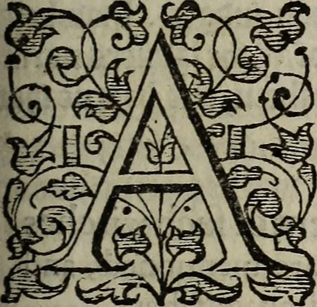 An illustration from The discouerie of witchcraft, : wherein the lewde dealing of witches and witchmongers is notablie detected, the knauerie of coniurors, the impietie of inchantors, the follie of soothsaiers, the impudent falshood of cousenors, the infidelitie of atheists, the pestilent practices of Pythonists, the curiositie of figure casters, the vanitie of dreamers, the beggerlie art of alcumystrie, the abhomination of idolatrie, the horrible art of poisoning, the vertue and power of naturall magike, and all the conueiances of legierdemaine and iuggling are deciphered: and many other things opened, which have long lien hidden, howbeit verie necessarie to be knowne. : Heerevnto is added a treatise vpon the nature and substance of spirits and diuels, & c, 1584, leaf 254