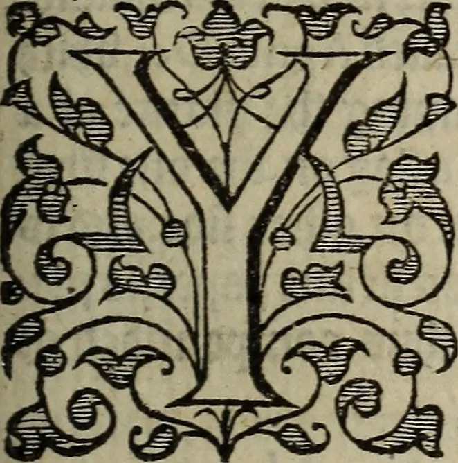 An illustration from The discouerie of witchcraft, : wherein the lewde dealing of witches and witchmongers is notablie detected, the knauerie of coniurors, the impietie of inchantors, the follie of soothsaiers, the impudent falshood of cousenors, the infidelitie of atheists, the pestilent practices of Pythonists, the curiositie of figure casters, the vanitie of dreamers, the beggerlie art of alcumystrie, the abhomination of idolatrie, the horrible art of poisoning, the vertue and power of naturall magike, and all the conueiances of legierdemaine and iuggling are deciphered: and many other things opened, which have long lien hidden, howbeit verie necessarie to be knowne. : Heerevnto is added a treatise vpon the nature and substance of spirits and diuels, & c, 1584, leaf 262