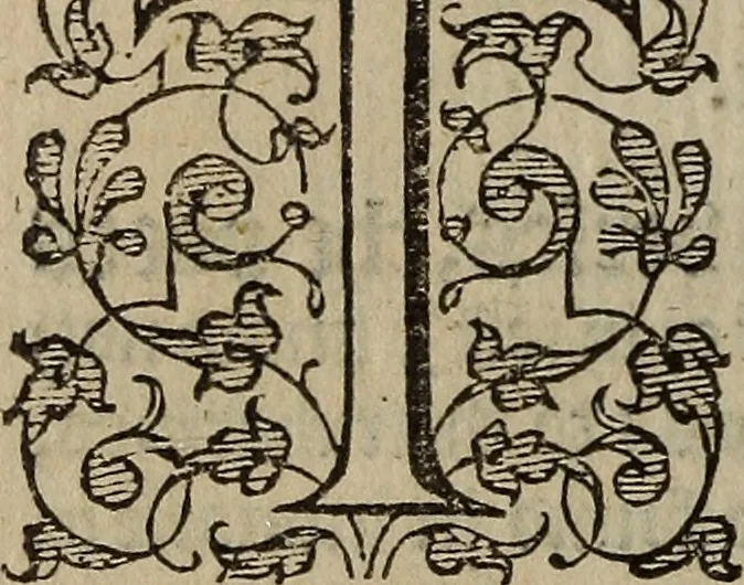 An illustration from The discouerie of witchcraft, : wherein the lewde dealing of witches and witchmongers is notablie detected, the knauerie of coniurors, the impietie of inchantors, the follie of soothsaiers, the impudent falshood of cousenors, the infidelitie of atheists, the pestilent practices of Pythonists, the curiositie of figure casters, the vanitie of dreamers, the beggerlie art of alcumystrie, the abhomination of idolatrie, the horrible art of poisoning, the vertue and power of naturall magike, and all the conueiances of legierdemaine and iuggling are deciphered: and many other things opened, which have long lien hidden, howbeit verie necessarie to be knowne. : Heerevnto is added a treatise vpon the nature and substance of spirits and diuels, & c, 1584, leaf 263