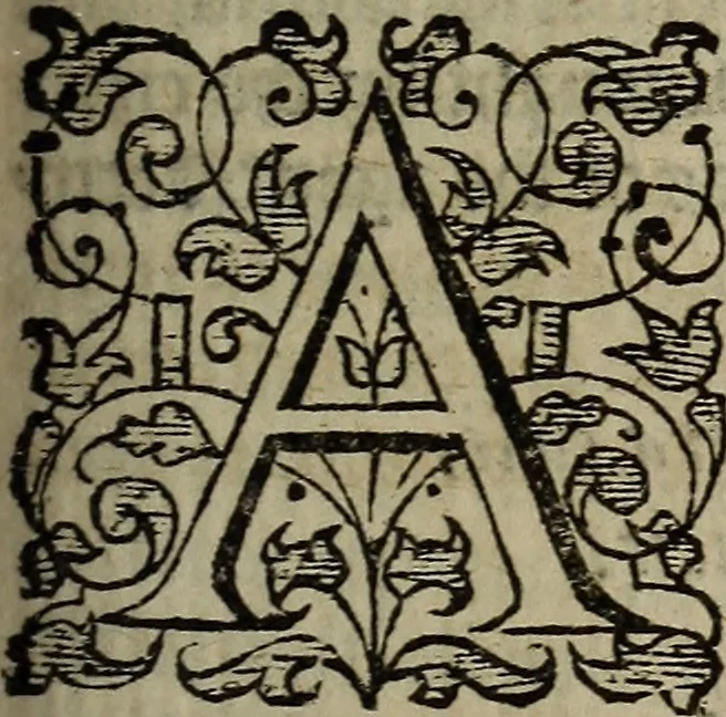 An illustration from The discouerie of witchcraft, : wherein the lewde dealing of witches and witchmongers is notablie detected, the knauerie of coniurors, the impietie of inchantors, the follie of soothsaiers, the impudent falshood of cousenors, the infidelitie of atheists, the pestilent practices of Pythonists, the curiositie of figure casters, the vanitie of dreamers, the beggerlie art of alcumystrie, the abhomination of idolatrie, the horrible art of poisoning, the vertue and power of naturall magike, and all the conueiances of legierdemaine and iuggling are deciphered: and many other things opened, which have long lien hidden, howbeit verie necessarie to be knowne. : Heerevnto is added a treatise vpon the nature and substance of spirits and diuels, & c, 1584, leaf 272