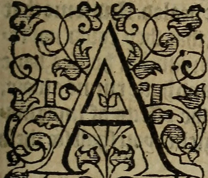 An illustration from The discouerie of witchcraft, : wherein the lewde dealing of witches and witchmongers is notablie detected, the knauerie of coniurors, the impietie of inchantors, the follie of soothsaiers, the impudent falshood of cousenors, the infidelitie of atheists, the pestilent practices of Pythonists, the curiositie of figure casters, the vanitie of dreamers, the beggerlie art of alcumystrie, the abhomination of idolatrie, the horrible art of poisoning, the vertue and power of naturall magike, and all the conueiances of legierdemaine and iuggling are deciphered: and many other things opened, which have long lien hidden, howbeit verie necessarie to be knowne. : Heerevnto is added a treatise vpon the nature and substance of spirits and diuels, & c, 1584, leaf 274