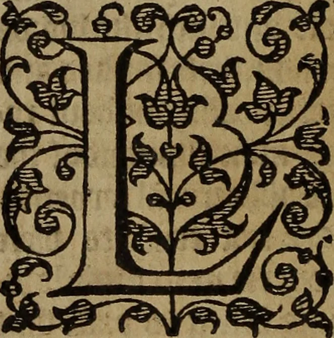 An illustration from The discouerie of witchcraft, : wherein the lewde dealing of witches and witchmongers is notablie detected, the knauerie of coniurors, the impietie of inchantors, the follie of soothsaiers, the impudent falshood of cousenors, the infidelitie of atheists, the pestilent practices of Pythonists, the curiositie of figure casters, the vanitie of dreamers, the beggerlie art of alcumystrie, the abhomination of idolatrie, the horrible art of poisoning, the vertue and power of naturall magike, and all the conueiances of legierdemaine and iuggling are deciphered: and many other things opened, which have long lien hidden, howbeit verie necessarie to be knowne. : Heerevnto is added a treatise vpon the nature and substance of spirits and diuels, & c, 1584, leaf 289