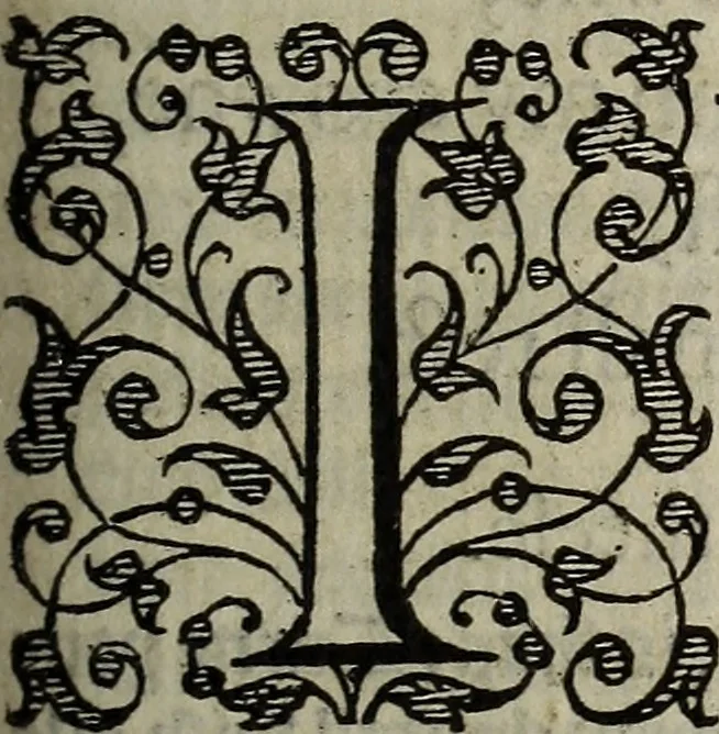 An illustration from The discouerie of witchcraft, : wherein the lewde dealing of witches and witchmongers is notablie detected, the knauerie of coniurors, the impietie of inchantors, the follie of soothsaiers, the impudent falshood of cousenors, the infidelitie of atheists, the pestilent practices of Pythonists, the curiositie of figure casters, the vanitie of dreamers, the beggerlie art of alcumystrie, the abhomination of idolatrie, the horrible art of poisoning, the vertue and power of naturall magike, and all the conueiances of legierdemaine and iuggling are deciphered: and many other things opened, which have long lien hidden, howbeit verie necessarie to be knowne. : Heerevnto is added a treatise vpon the nature and substance of spirits and diuels, & c, 1584, leaf 292