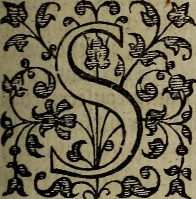 An illustration from The discouerie of witchcraft, : wherein the lewde dealing of witches and witchmongers is notablie detected, the knauerie of coniurors, the impietie of inchantors, the follie of soothsaiers, the impudent falshood of cousenors, the infidelitie of atheists, the pestilent practices of Pythonists, the curiositie of figure casters, the vanitie of dreamers, the beggerlie art of alcumystrie, the abhomination of idolatrie, the horrible art of poisoning, the vertue and power of naturall magike, and all the conueiances of legierdemaine and iuggling are deciphered: and many other things opened, which have long lien hidden, howbeit verie necessarie to be knowne. : Heerevnto is added a treatise vpon the nature and substance of spirits and diuels, & c, 1584, leaf 310