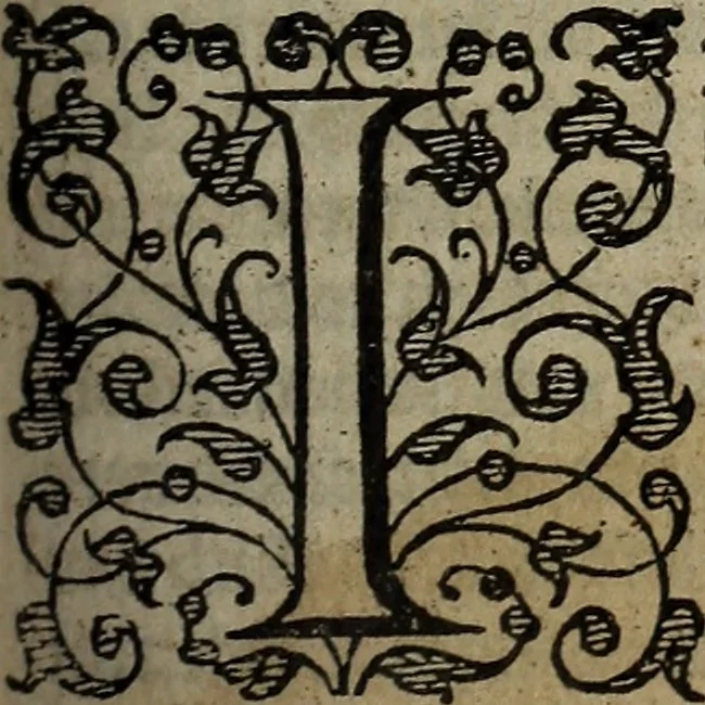 An illustration from The discouerie of witchcraft, : wherein the lewde dealing of witches and witchmongers is notablie detected, the knauerie of coniurors, the impietie of inchantors, the follie of soothsaiers, the impudent falshood of cousenors, the infidelitie of atheists, the pestilent practices of Pythonists, the curiositie of figure casters, the vanitie of dreamers, the beggerlie art of alcumystrie, the abhomination of idolatrie, the horrible art of poisoning, the vertue and power of naturall magike, and all the conueiances of legierdemaine and iuggling are deciphered: and many other things opened, which have long lien hidden, howbeit verie necessarie to be knowne. : Heerevnto is added a treatise vpon the nature and substance of spirits and diuels, & c, 1584, leaf 312