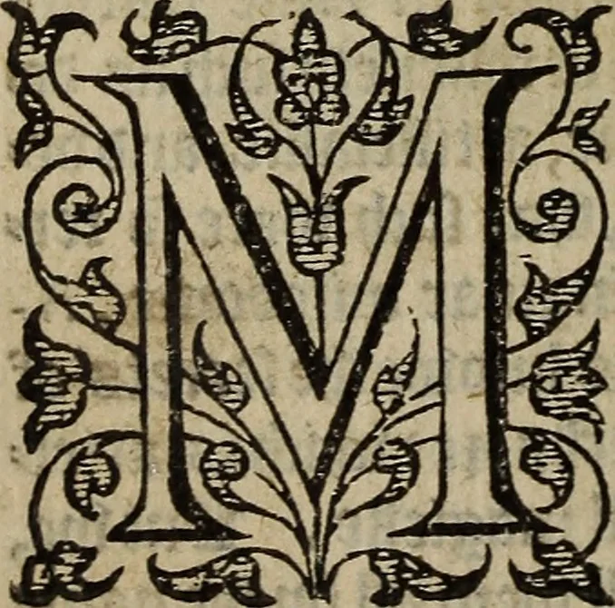 An illustration from The discouerie of witchcraft, : wherein the lewde dealing of witches and witchmongers is notablie detected, the knauerie of coniurors, the impietie of inchantors, the follie of soothsaiers, the impudent falshood of cousenors, the infidelitie of atheists, the pestilent practices of Pythonists, the curiositie of figure casters, the vanitie of dreamers, the beggerlie art of alcumystrie, the abhomination of idolatrie, the horrible art of poisoning, the vertue and power of naturall magike, and all the conueiances of legierdemaine and iuggling are deciphered: and many other things opened, which have long lien hidden, howbeit verie necessarie to be knowne. : Heerevnto is added a treatise vpon the nature and substance of spirits and diuels, & c, 1584, leaf 321