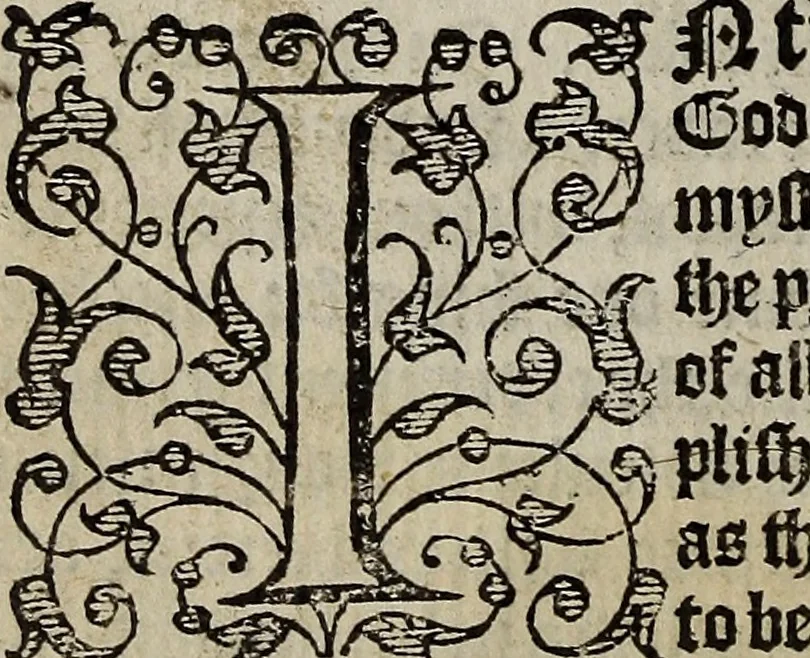 An illustration from The discouerie of witchcraft, : wherein the lewde dealing of witches and witchmongers is notablie detected, the knauerie of coniurors, the impietie of inchantors, the follie of soothsaiers, the impudent falshood of cousenors, the infidelitie of atheists, the pestilent practices of Pythonists, the curiositie of figure casters, the vanitie of dreamers, the beggerlie art of alcumystrie, the abhomination of idolatrie, the horrible art of poisoning, the vertue and power of naturall magike, and all the conueiances of legierdemaine and iuggling are deciphered: and many other things opened, which have long lien hidden, howbeit verie necessarie to be knowne. : Heerevnto is added a treatise vpon the nature and substance of spirits and diuels, & c, 1584, leaf 323