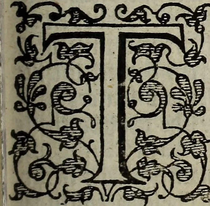 An illustration from The discouerie of witchcraft, : wherein the lewde dealing of witches and witchmongers is notablie detected, the knauerie of coniurors, the impietie of inchantors, the follie of soothsaiers, the impudent falshood of cousenors, the infidelitie of atheists, the pestilent practices of Pythonists, the curiositie of figure casters, the vanitie of dreamers, the beggerlie art of alcumystrie, the abhomination of idolatrie, the horrible art of poisoning, the vertue and power of naturall magike, and all the conueiances of legierdemaine and iuggling are deciphered: and many other things opened, which have long lien hidden, howbeit verie necessarie to be knowne. : Heerevnto is added a treatise vpon the nature and substance of spirits and diuels, & c, 1584, leaf 324