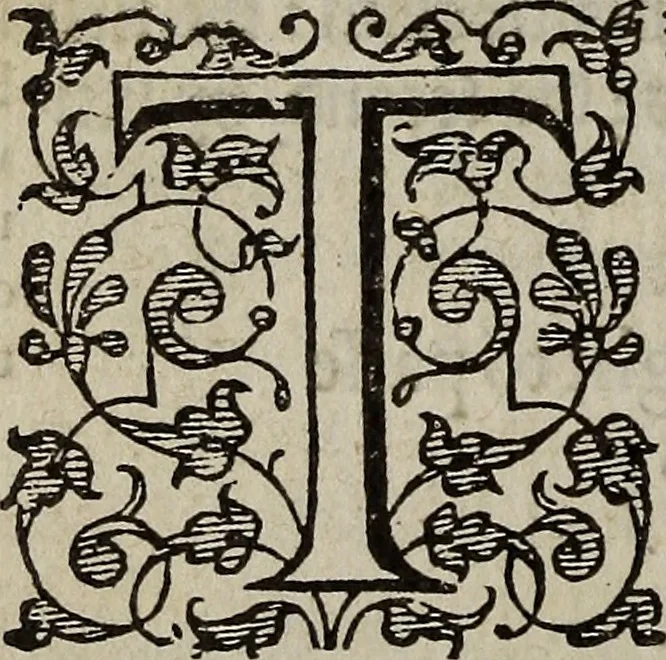 An illustration from The discouerie of witchcraft, : wherein the lewde dealing of witches and witchmongers is notablie detected, the knauerie of coniurors, the impietie of inchantors, the follie of soothsaiers, the impudent falshood of cousenors, the infidelitie of atheists, the pestilent practices of Pythonists, the curiositie of figure casters, the vanitie of dreamers, the beggerlie art of alcumystrie, the abhomination of idolatrie, the horrible art of poisoning, the vertue and power of naturall magike, and all the conueiances of legierdemaine and iuggling are deciphered: and many other things opened, which have long lien hidden, howbeit verie necessarie to be knowne. : Heerevnto is added a treatise vpon the nature and substance of spirits and diuels, & c, 1584, leaf 325