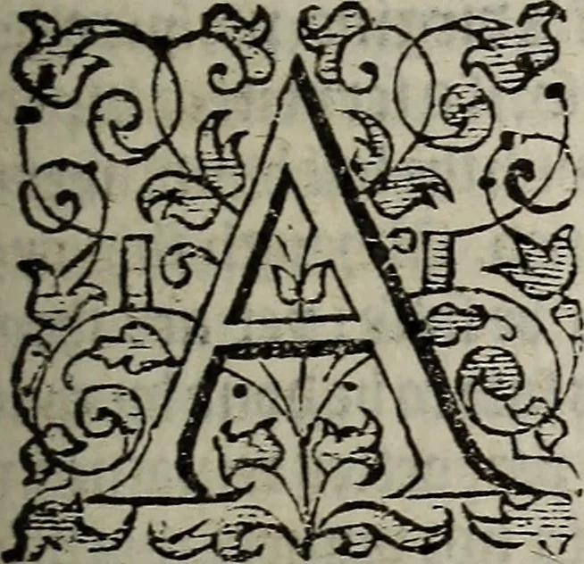 An illustration from The discouerie of witchcraft, : wherein the lewde dealing of witches and witchmongers is notablie detected, the knauerie of coniurors, the impietie of inchantors, the follie of soothsaiers, the impudent falshood of cousenors, the infidelitie of atheists, the pestilent practices of Pythonists, the curiositie of figure casters, the vanitie of dreamers, the beggerlie art of alcumystrie, the abhomination of idolatrie, the horrible art of poisoning, the vertue and power of naturall magike, and all the conueiances of legierdemaine and iuggling are deciphered: and many other things opened, which have long lien hidden, howbeit verie necessarie to be knowne. : Heerevnto is added a treatise vpon the nature and substance of spirits and diuels, & c, 1584, leaf 336
