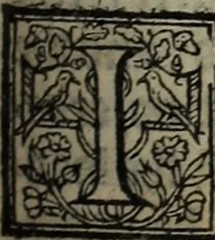 An illustration from The discouerie of witchcraft, : wherein the lewde dealing of witches and witchmongers is notablie detected, the knauerie of coniurors, the impietie of inchantors, the follie of soothsaiers, the impudent falshood of cousenors, the infidelitie of atheists, the pestilent practices of Pythonists, the curiositie of figure casters, the vanitie of dreamers, the beggerlie art of alcumystrie, the abhomination of idolatrie, the horrible art of poisoning, the vertue and power of naturall magike, and all the conueiances of legierdemaine and iuggling are deciphered: and many other things opened, which have long lien hidden, howbeit verie necessarie to be knowne. : Heerevnto is added a treatise vpon the nature and substance of spirits and diuels, & c, 1584, leaf 338