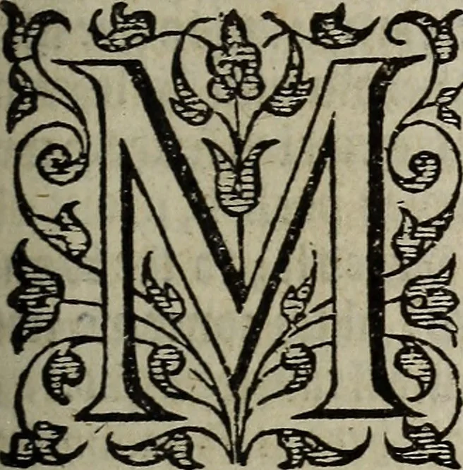 An illustration from The discouerie of witchcraft, : wherein the lewde dealing of witches and witchmongers is notablie detected, the knauerie of coniurors, the impietie of inchantors, the follie of soothsaiers, the impudent falshood of cousenors, the infidelitie of atheists, the pestilent practices of Pythonists, the curiositie of figure casters, the vanitie of dreamers, the beggerlie art of alcumystrie, the abhomination of idolatrie, the horrible art of poisoning, the vertue and power of naturall magike, and all the conueiances of legierdemaine and iuggling are deciphered: and many other things opened, which have long lien hidden, howbeit verie necessarie to be knowne. : Heerevnto is added a treatise vpon the nature and substance of spirits and diuels, & c, 1584, leaf 340