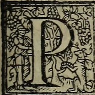 An illustration from The discouerie of witchcraft, : wherein the lewde dealing of witches and witchmongers is notablie detected, the knauerie of coniurors, the impietie of inchantors, the follie of soothsaiers, the impudent falshood of cousenors, the infidelitie of atheists, the pestilent practices of Pythonists, the curiositie of figure casters, the vanitie of dreamers, the beggerlie art of alcumystrie, the abhomination of idolatrie, the horrible art of poisoning, the vertue and power of naturall magike, and all the conueiances of legierdemaine and iuggling are deciphered: and many other things opened, which have long lien hidden, howbeit verie necessarie to be knowne. : Heerevnto is added a treatise vpon the nature and substance of spirits and diuels, & c, 1584, leaf 342
