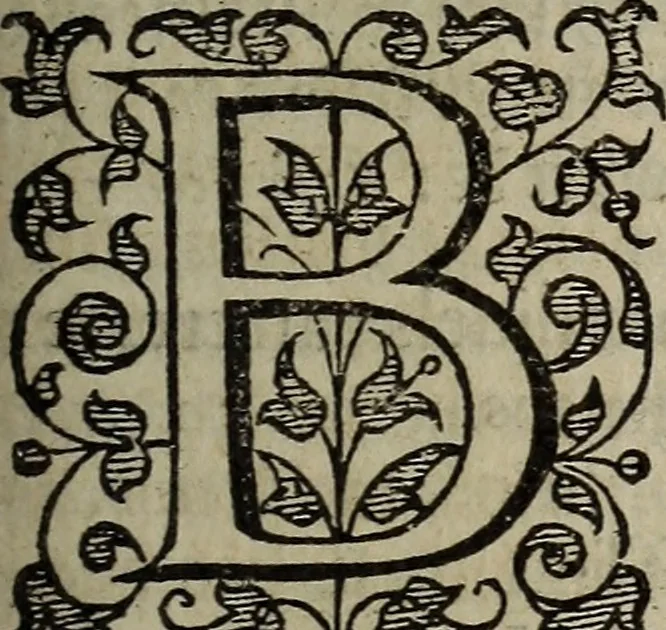 An illustration from The discouerie of witchcraft, : wherein the lewde dealing of witches and witchmongers is notablie detected, the knauerie of coniurors, the impietie of inchantors, the follie of soothsaiers, the impudent falshood of cousenors, the infidelitie of atheists, the pestilent practices of Pythonists, the curiositie of figure casters, the vanitie of dreamers, the beggerlie art of alcumystrie, the abhomination of idolatrie, the horrible art of poisoning, the vertue and power of naturall magike, and all the conueiances of legierdemaine and iuggling are deciphered: and many other things opened, which have long lien hidden, howbeit verie necessarie to be knowne. : Heerevnto is added a treatise vpon the nature and substance of spirits and diuels, & c, 1584, leaf 344