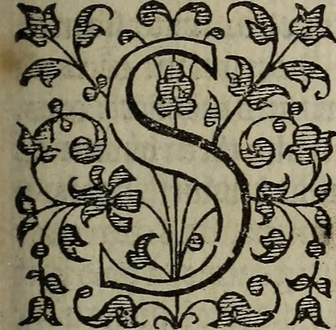 An illustration from The discouerie of witchcraft, : wherein the lewde dealing of witches and witchmongers is notablie detected, the knauerie of coniurors, the impietie of inchantors, the follie of soothsaiers, the impudent falshood of cousenors, the infidelitie of atheists, the pestilent practices of Pythonists, the curiositie of figure casters, the vanitie of dreamers, the beggerlie art of alcumystrie, the abhomination of idolatrie, the horrible art of poisoning, the vertue and power of naturall magike, and all the conueiances of legierdemaine and iuggling are deciphered: and many other things opened, which have long lien hidden, howbeit verie necessarie to be knowne. : Heerevnto is added a treatise vpon the nature and substance of spirits and diuels, & c, 1584, leaf 346