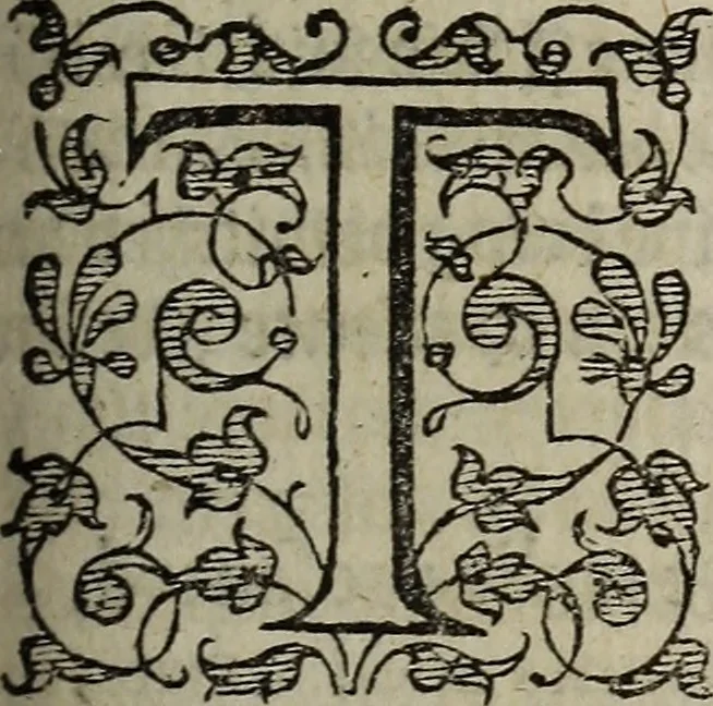 An illustration from The discouerie of witchcraft, : wherein the lewde dealing of witches and witchmongers is notablie detected, the knauerie of coniurors, the impietie of inchantors, the follie of soothsaiers, the impudent falshood of cousenors, the infidelitie of atheists, the pestilent practices of Pythonists, the curiositie of figure casters, the vanitie of dreamers, the beggerlie art of alcumystrie, the abhomination of idolatrie, the horrible art of poisoning, the vertue and power of naturall magike, and all the conueiances of legierdemaine and iuggling are deciphered: and many other things opened, which have long lien hidden, howbeit verie necessarie to be knowne. : Heerevnto is added a treatise vpon the nature and substance of spirits and diuels, & c, 1584, leaf 350