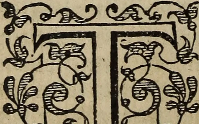 An illustration from The discouerie of witchcraft, : wherein the lewde dealing of witches and witchmongers is notablie detected, the knauerie of coniurors, the impietie of inchantors, the follie of soothsaiers, the impudent falshood of cousenors, the infidelitie of atheists, the pestilent practices of Pythonists, the curiositie of figure casters, the vanitie of dreamers, the beggerlie art of alcumystrie, the abhomination of idolatrie, the horrible art of poisoning, the vertue and power of naturall magike, and all the conueiances of legierdemaine and iuggling are deciphered: and many other things opened, which have long lien hidden, howbeit verie necessarie to be knowne. : Heerevnto is added a treatise vpon the nature and substance of spirits and diuels, & c, 1584, leaf 351