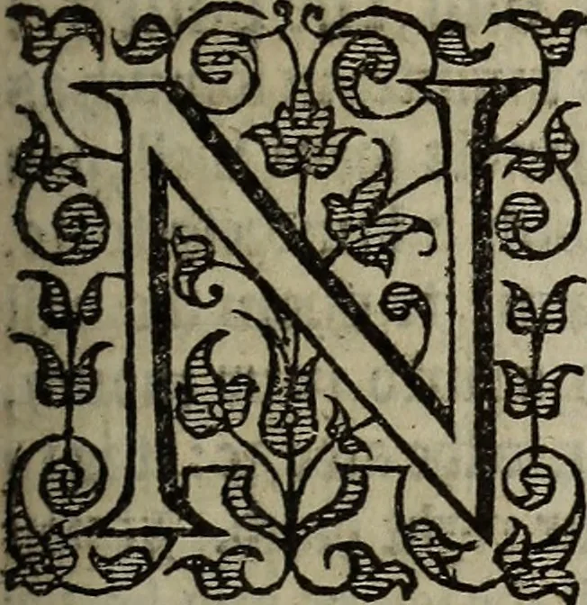 An illustration from The discouerie of witchcraft, : wherein the lewde dealing of witches and witchmongers is notablie detected, the knauerie of coniurors, the impietie of inchantors, the follie of soothsaiers, the impudent falshood of cousenors, the infidelitie of atheists, the pestilent practices of Pythonists, the curiositie of figure casters, the vanitie of dreamers, the beggerlie art of alcumystrie, the abhomination of idolatrie, the horrible art of poisoning, the vertue and power of naturall magike, and all the conueiances of legierdemaine and iuggling are deciphered: and many other things opened, which have long lien hidden, howbeit verie necessarie to be knowne. : Heerevnto is added a treatise vpon the nature and substance of spirits and diuels, & c, 1584, leaf 354