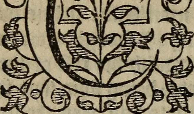 An illustration from The discouerie of witchcraft, : wherein the lewde dealing of witches and witchmongers is notablie detected, the knauerie of coniurors, the impietie of inchantors, the follie of soothsaiers, the impudent falshood of cousenors, the infidelitie of atheists, the pestilent practices of Pythonists, the curiositie of figure casters, the vanitie of dreamers, the beggerlie art of alcumystrie, the abhomination of idolatrie, the horrible art of poisoning, the vertue and power of naturall magike, and all the conueiances of legierdemaine and iuggling are deciphered: and many other things opened, which have long lien hidden, howbeit verie necessarie to be knowne. : Heerevnto is added a treatise vpon the nature and substance of spirits and diuels, & c, 1584, leaf 355