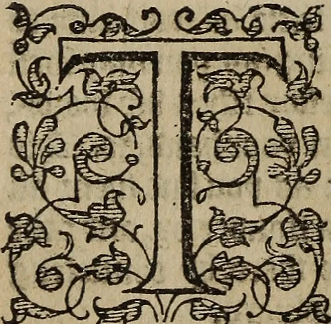 An illustration from The discouerie of witchcraft, : wherein the lewde dealing of witches and witchmongers is notablie detected, the knauerie of coniurors, the impietie of inchantors, the follie of soothsaiers, the impudent falshood of cousenors, the infidelitie of atheists, the pestilent practices of Pythonists, the curiositie of figure casters, the vanitie of dreamers, the beggerlie art of alcumystrie, the abhomination of idolatrie, the horrible art of poisoning, the vertue and power of naturall magike, and all the conueiances of legierdemaine and iuggling are deciphered: and many other things opened, which have long lien hidden, howbeit verie necessarie to be knowne. : Heerevnto is added a treatise vpon the nature and substance of spirits and diuels, & c, 1584, leaf 357
