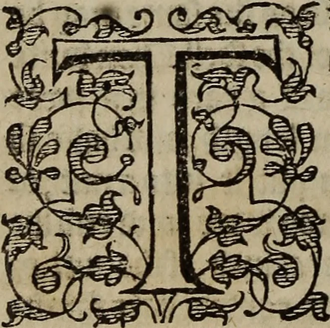 An illustration from The discouerie of witchcraft, : wherein the lewde dealing of witches and witchmongers is notablie detected, the knauerie of coniurors, the impietie of inchantors, the follie of soothsaiers, the impudent falshood of cousenors, the infidelitie of atheists, the pestilent practices of Pythonists, the curiositie of figure casters, the vanitie of dreamers, the beggerlie art of alcumystrie, the abhomination of idolatrie, the horrible art of poisoning, the vertue and power of naturall magike, and all the conueiances of legierdemaine and iuggling are deciphered: and many other things opened, which have long lien hidden, howbeit verie necessarie to be knowne. : Heerevnto is added a treatise vpon the nature and substance of spirits and diuels, & c, 1584, leaf 369