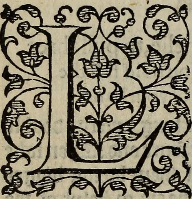 An illustration from The discouerie of witchcraft, : wherein the lewde dealing of witches and witchmongers is notablie detected, the knauerie of coniurors, the impietie of inchantors, the follie of soothsaiers, the impudent falshood of cousenors, the infidelitie of atheists, the pestilent practices of Pythonists, the curiositie of figure casters, the vanitie of dreamers, the beggerlie art of alcumystrie, the abhomination of idolatrie, the horrible art of poisoning, the vertue and power of naturall magike, and all the conueiances of legierdemaine and iuggling are deciphered: and many other things opened, which have long lien hidden, howbeit verie necessarie to be knowne. : Heerevnto is added a treatise vpon the nature and substance of spirits and diuels, & c, 1584, leaf 371