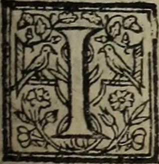 An illustration from The discouerie of witchcraft, : wherein the lewde dealing of witches and witchmongers is notablie detected, the knauerie of coniurors, the impietie of inchantors, the follie of soothsaiers, the impudent falshood of cousenors, the infidelitie of atheists, the pestilent practices of Pythonists, the curiositie of figure casters, the vanitie of dreamers, the beggerlie art of alcumystrie, the abhomination of idolatrie, the horrible art of poisoning, the vertue and power of naturall magike, and all the conueiances of legierdemaine and iuggling are deciphered: and many other things opened, which have long lien hidden, howbeit verie necessarie to be knowne. : Heerevnto is added a treatise vpon the nature and substance of spirits and diuels, & c, 1584, leaf 374