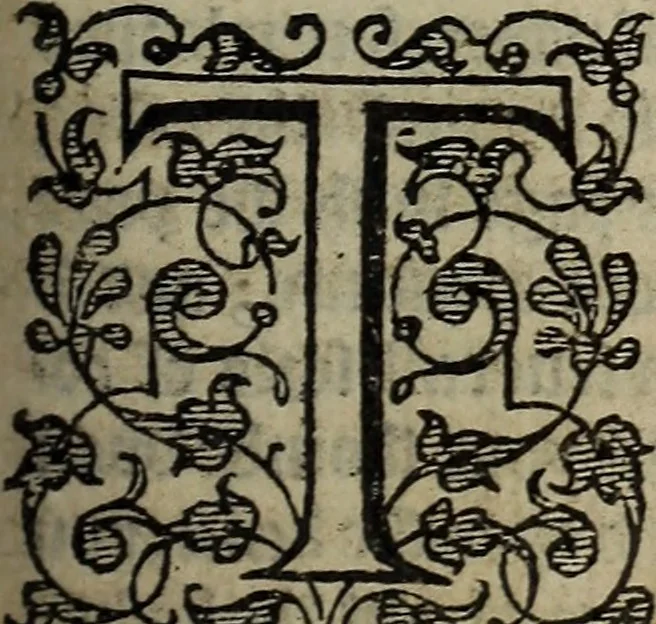 An illustration from The discouerie of witchcraft, : wherein the lewde dealing of witches and witchmongers is notablie detected, the knauerie of coniurors, the impietie of inchantors, the follie of soothsaiers, the impudent falshood of cousenors, the infidelitie of atheists, the pestilent practices of Pythonists, the curiositie of figure casters, the vanitie of dreamers, the beggerlie art of alcumystrie, the abhomination of idolatrie, the horrible art of poisoning, the vertue and power of naturall magike, and all the conueiances of legierdemaine and iuggling are deciphered: and many other things opened, which have long lien hidden, howbeit verie necessarie to be knowne. : Heerevnto is added a treatise vpon the nature and substance of spirits and diuels, & c, 1584, leaf 376