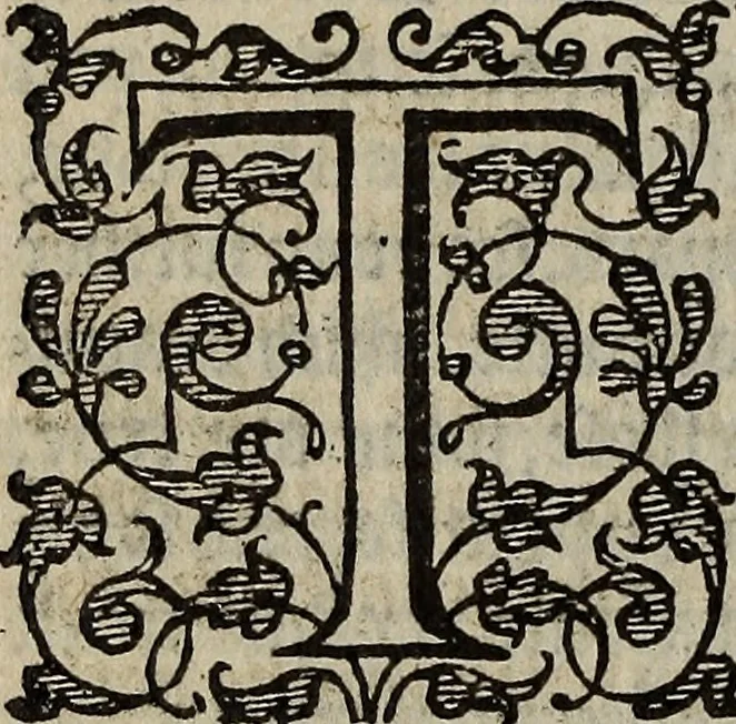 An illustration from The discouerie of witchcraft, : wherein the lewde dealing of witches and witchmongers is notablie detected, the knauerie of coniurors, the impietie of inchantors, the follie of soothsaiers, the impudent falshood of cousenors, the infidelitie of atheists, the pestilent practices of Pythonists, the curiositie of figure casters, the vanitie of dreamers, the beggerlie art of alcumystrie, the abhomination of idolatrie, the horrible art of poisoning, the vertue and power of naturall magike, and all the conueiances of legierdemaine and iuggling are deciphered: and many other things opened, which have long lien hidden, howbeit verie necessarie to be knowne. : Heerevnto is added a treatise vpon the nature and substance of spirits and diuels, & c, 1584, leaf 379
