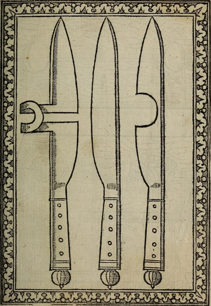 An illustration from The discouerie of witchcraft, : wherein the lewde dealing of witches and witchmongers is notablie detected, the knauerie of coniurors, the impietie of inchantors, the follie of soothsaiers, the impudent falshood of cousenors, the infidelitie of atheists, the pestilent practices of Pythonists, the curiositie of figure casters, the vanitie of dreamers, the beggerlie art of alcumystrie, the abhomination of idolatrie, the horrible art of poisoning, the vertue and power of naturall magike, and all the conueiances of legierdemaine and iuggling are deciphered: and many other things opened, which have long lien hidden, howbeit verie necessarie to be knowne. : Heerevnto is added a treatise vpon the nature and substance of spirits and diuels, & c, 1584, leaf 388