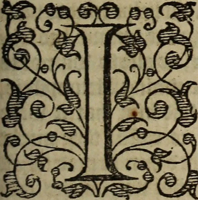 An illustration from The discouerie of witchcraft, : wherein the lewde dealing of witches and witchmongers is notablie detected, the knauerie of coniurors, the impietie of inchantors, the follie of soothsaiers, the impudent falshood of cousenors, the infidelitie of atheists, the pestilent practices of Pythonists, the curiositie of figure casters, the vanitie of dreamers, the beggerlie art of alcumystrie, the abhomination of idolatrie, the horrible art of poisoning, the vertue and power of naturall magike, and all the conueiances of legierdemaine and iuggling are deciphered: and many other things opened, which have long lien hidden, howbeit verie necessarie to be knowne. : Heerevnto is added a treatise vpon the nature and substance of spirits and diuels, & c, 1584, leaf 394