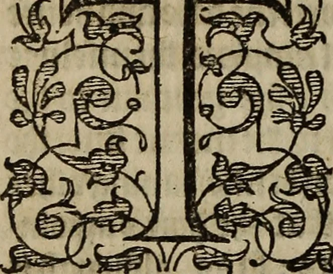An illustration from The discouerie of witchcraft, : wherein the lewde dealing of witches and witchmongers is notablie detected, the knauerie of coniurors, the impietie of inchantors, the follie of soothsaiers, the impudent falshood of cousenors, the infidelitie of atheists, the pestilent practices of Pythonists, the curiositie of figure casters, the vanitie of dreamers, the beggerlie art of alcumystrie, the abhomination of idolatrie, the horrible art of poisoning, the vertue and power of naturall magike, and all the conueiances of legierdemaine and iuggling are deciphered: and many other things opened, which have long lien hidden, howbeit verie necessarie to be knowne. : Heerevnto is added a treatise vpon the nature and substance of spirits and diuels, & c, 1584, leaf 397