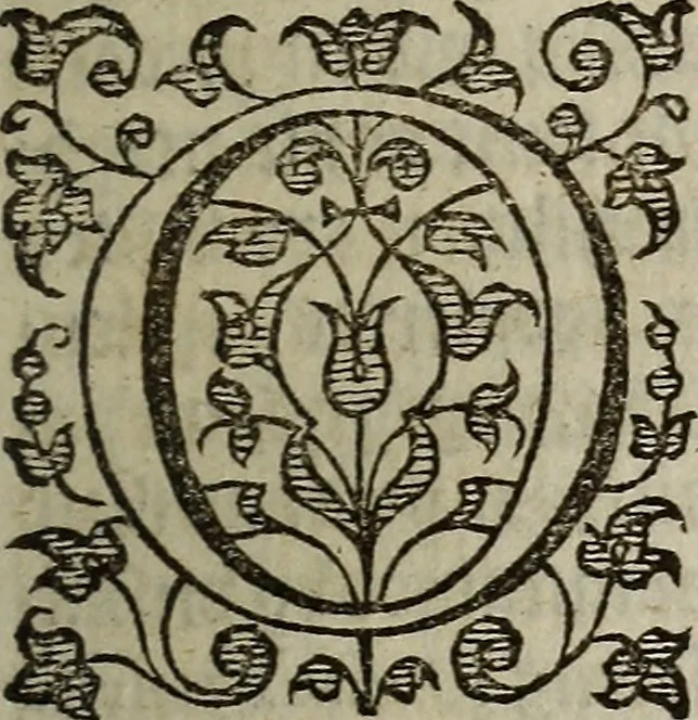 An illustration from The discouerie of witchcraft, : wherein the lewde dealing of witches and witchmongers is notablie detected, the knauerie of coniurors, the impietie of inchantors, the follie of soothsaiers, the impudent falshood of cousenors, the infidelitie of atheists, the pestilent practices of Pythonists, the curiositie of figure casters, the vanitie of dreamers, the beggerlie art of alcumystrie, the abhomination of idolatrie, the horrible art of poisoning, the vertue and power of naturall magike, and all the conueiances of legierdemaine and iuggling are deciphered: and many other things opened, which have long lien hidden, howbeit verie necessarie to be knowne. : Heerevnto is added a treatise vpon the nature and substance of spirits and diuels, & c, 1584, leaf 40