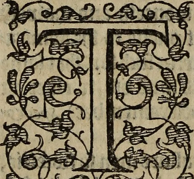 An illustration from The discouerie of witchcraft, : wherein the lewde dealing of witches and witchmongers is notablie detected, the knauerie of coniurors, the impietie of inchantors, the follie of soothsaiers, the impudent falshood of cousenors, the infidelitie of atheists, the pestilent practices of Pythonists, the curiositie of figure casters, the vanitie of dreamers, the beggerlie art of alcumystrie, the abhomination of idolatrie, the horrible art of poisoning, the vertue and power of naturall magike, and all the conueiances of legierdemaine and iuggling are deciphered: and many other things opened, which have long lien hidden, howbeit verie necessarie to be knowne. : Heerevnto is added a treatise vpon the nature and substance of spirits and diuels, & c, 1584, leaf 409