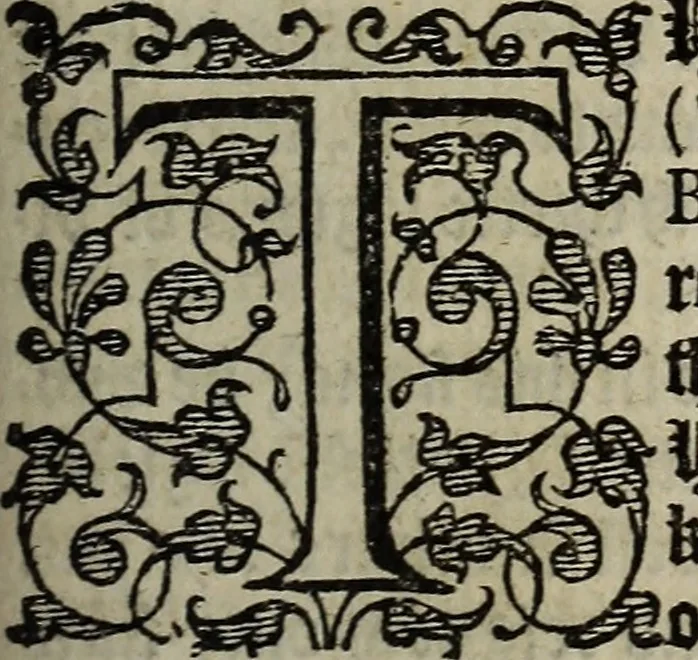 An illustration from The discouerie of witchcraft, : wherein the lewde dealing of witches and witchmongers is notablie detected, the knauerie of coniurors, the impietie of inchantors, the follie of soothsaiers, the impudent falshood of cousenors, the infidelitie of atheists, the pestilent practices of Pythonists, the curiositie of figure casters, the vanitie of dreamers, the beggerlie art of alcumystrie, the abhomination of idolatrie, the horrible art of poisoning, the vertue and power of naturall magike, and all the conueiances of legierdemaine and iuggling are deciphered: and many other things opened, which have long lien hidden, howbeit verie necessarie to be knowne. : Heerevnto is added a treatise vpon the nature and substance of spirits and diuels, & c, 1584, leaf 414