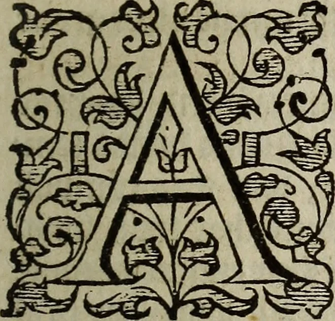 An illustration from The discouerie of witchcraft, : wherein the lewde dealing of witches and witchmongers is notablie detected, the knauerie of coniurors, the impietie of inchantors, the follie of soothsaiers, the impudent falshood of cousenors, the infidelitie of atheists, the pestilent practices of Pythonists, the curiositie of figure casters, the vanitie of dreamers, the beggerlie art of alcumystrie, the abhomination of idolatrie, the horrible art of poisoning, the vertue and power of naturall magike, and all the conueiances of legierdemaine and iuggling are deciphered: and many other things opened, which have long lien hidden, howbeit verie necessarie to be knowne. : Heerevnto is added a treatise vpon the nature and substance of spirits and diuels, & c, 1584, leaf 42