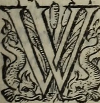 An illustration from The discouerie of witchcraft, : wherein the lewde dealing of witches and witchmongers is notablie detected, the knauerie of coniurors, the impietie of inchantors, the follie of soothsaiers, the impudent falshood of cousenors, the infidelitie of atheists, the pestilent practices of Pythonists, the curiositie of figure casters, the vanitie of dreamers, the beggerlie art of alcumystrie, the abhomination of idolatrie, the horrible art of poisoning, the vertue and power of naturall magike, and all the conueiances of legierdemaine and iuggling are deciphered: and many other things opened, which have long lien hidden, howbeit verie necessarie to be knowne. : Heerevnto is added a treatise vpon the nature and substance of spirits and diuels, & c, 1584, leaf 430