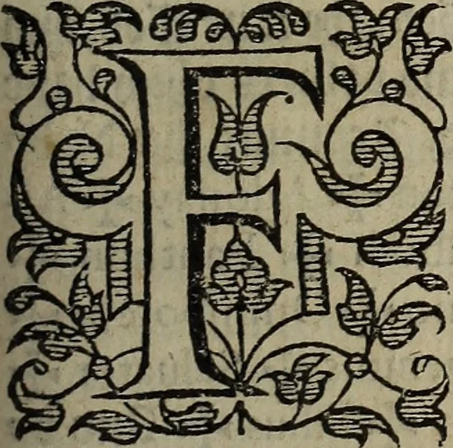 An illustration from The discouerie of witchcraft, : wherein the lewde dealing of witches and witchmongers is notablie detected, the knauerie of coniurors, the impietie of inchantors, the follie of soothsaiers, the impudent falshood of cousenors, the infidelitie of atheists, the pestilent practices of Pythonists, the curiositie of figure casters, the vanitie of dreamers, the beggerlie art of alcumystrie, the abhomination of idolatrie, the horrible art of poisoning, the vertue and power of naturall magike, and all the conueiances of legierdemaine and iuggling are deciphered: and many other things opened, which have long lien hidden, howbeit verie necessarie to be knowne. : Heerevnto is added a treatise vpon the nature and substance of spirits and diuels, & c, 1584, leaf 438