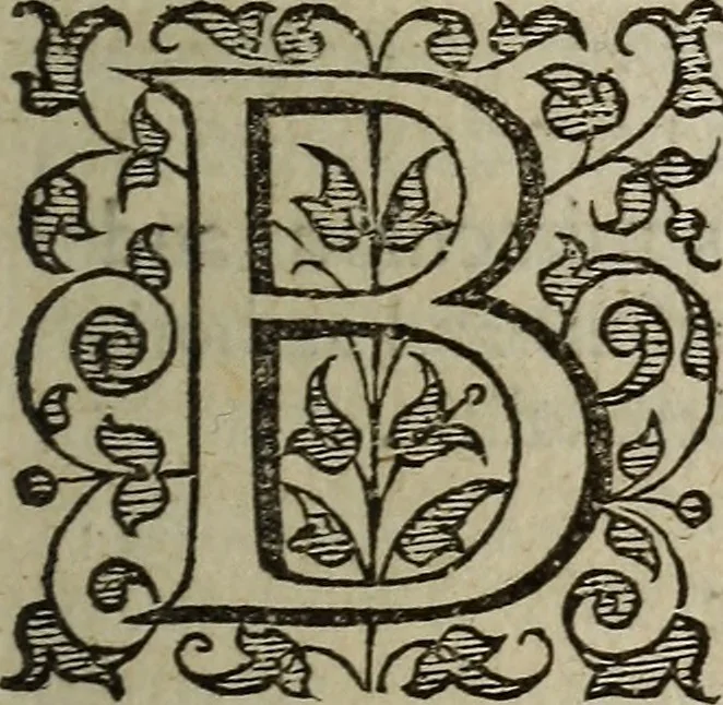 An illustration from The discouerie of witchcraft, : wherein the lewde dealing of witches and witchmongers is notablie detected, the knauerie of coniurors, the impietie of inchantors, the follie of soothsaiers, the impudent falshood of cousenors, the infidelitie of atheists, the pestilent practices of Pythonists, the curiositie of figure casters, the vanitie of dreamers, the beggerlie art of alcumystrie, the abhomination of idolatrie, the horrible art of poisoning, the vertue and power of naturall magike, and all the conueiances of legierdemaine and iuggling are deciphered: and many other things opened, which have long lien hidden, howbeit verie necessarie to be knowne. : Heerevnto is added a treatise vpon the nature and substance of spirits and diuels, & c, 1584, leaf 44
