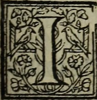An illustration from The discouerie of witchcraft, : wherein the lewde dealing of witches and witchmongers is notablie detected, the knauerie of coniurors, the impietie of inchantors, the follie of soothsaiers, the impudent falshood of cousenors, the infidelitie of atheists, the pestilent practices of Pythonists, the curiositie of figure casters, the vanitie of dreamers, the beggerlie art of alcumystrie, the abhomination of idolatrie, the horrible art of poisoning, the vertue and power of naturall magike, and all the conueiances of legierdemaine and iuggling are deciphered: and many other things opened, which have long lien hidden, howbeit verie necessarie to be knowne. : Heerevnto is added a treatise vpon the nature and substance of spirits and diuels, & c, 1584, leaf 444