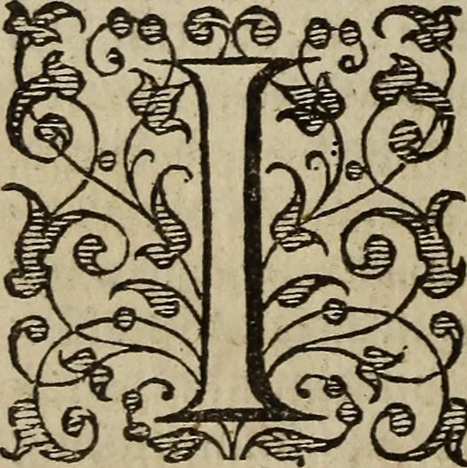 An illustration from The discouerie of witchcraft, : wherein the lewde dealing of witches and witchmongers is notablie detected, the knauerie of coniurors, the impietie of inchantors, the follie of soothsaiers, the impudent falshood of cousenors, the infidelitie of atheists, the pestilent practices of Pythonists, the curiositie of figure casters, the vanitie of dreamers, the beggerlie art of alcumystrie, the abhomination of idolatrie, the horrible art of poisoning, the vertue and power of naturall magike, and all the conueiances of legierdemaine and iuggling are deciphered: and many other things opened, which have long lien hidden, howbeit verie necessarie to be knowne. : Heerevnto is added a treatise vpon the nature and substance of spirits and diuels, & c, 1584, leaf 45