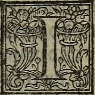 An illustration from The discouerie of witchcraft, : wherein the lewde dealing of witches and witchmongers is notablie detected, the knauerie of coniurors, the impietie of inchantors, the follie of soothsaiers, the impudent falshood of cousenors, the infidelitie of atheists, the pestilent practices of Pythonists, the curiositie of figure casters, the vanitie of dreamers, the beggerlie art of alcumystrie, the abhomination of idolatrie, the horrible art of poisoning, the vertue and power of naturall magike, and all the conueiances of legierdemaine and iuggling are deciphered: and many other things opened, which have long lien hidden, howbeit verie necessarie to be knowne. : Heerevnto is added a treatise vpon the nature and substance of spirits and diuels, & c, 1584, leaf 462