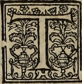 An illustration from The discouerie of witchcraft, : wherein the lewde dealing of witches and witchmongers is notablie detected, the knauerie of coniurors, the impietie of inchantors, the follie of soothsaiers, the impudent falshood of cousenors, the infidelitie of atheists, the pestilent practices of Pythonists, the curiositie of figure casters, the vanitie of dreamers, the beggerlie art of alcumystrie, the abhomination of idolatrie, the horrible art of poisoning, the vertue and power of naturall magike, and all the conueiances of legierdemaine and iuggling are deciphered: and many other things opened, which have long lien hidden, howbeit verie necessarie to be knowne. : Heerevnto is added a treatise vpon the nature and substance of spirits and diuels, & c, 1584, leaf 467