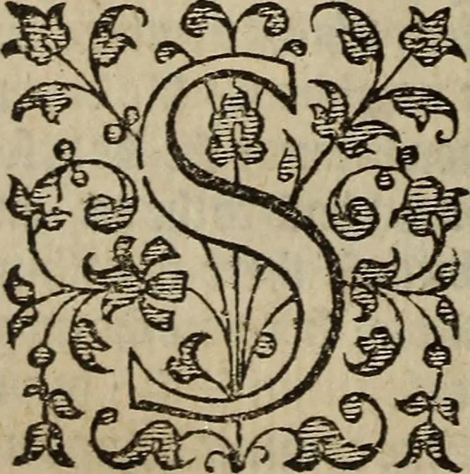 An illustration from The discouerie of witchcraft, : wherein the lewde dealing of witches and witchmongers is notablie detected, the knauerie of coniurors, the impietie of inchantors, the follie of soothsaiers, the impudent falshood of cousenors, the infidelitie of atheists, the pestilent practices of Pythonists, the curiositie of figure casters, the vanitie of dreamers, the beggerlie art of alcumystrie, the abhomination of idolatrie, the horrible art of poisoning, the vertue and power of naturall magike, and all the conueiances of legierdemaine and iuggling are deciphered: and many other things opened, which have long lien hidden, howbeit verie necessarie to be knowne. : Heerevnto is added a treatise vpon the nature and substance of spirits and diuels, & c, 1584, leaf 47