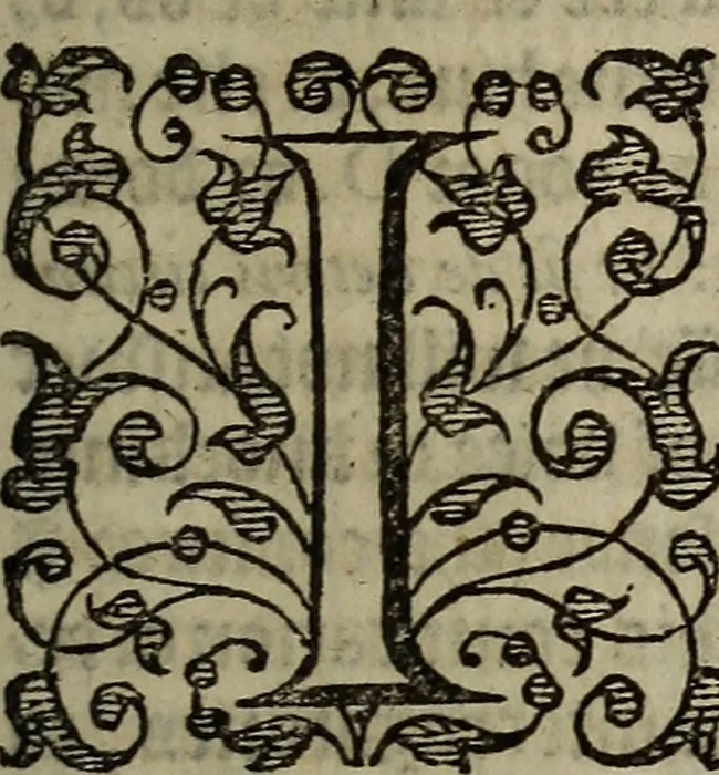 An illustration from The discouerie of witchcraft, : wherein the lewde dealing of witches and witchmongers is notablie detected, the knauerie of coniurors, the impietie of inchantors, the follie of soothsaiers, the impudent falshood of cousenors, the infidelitie of atheists, the pestilent practices of Pythonists, the curiositie of figure casters, the vanitie of dreamers, the beggerlie art of alcumystrie, the abhomination of idolatrie, the horrible art of poisoning, the vertue and power of naturall magike, and all the conueiances of legierdemaine and iuggling are deciphered: and many other things opened, which have long lien hidden, howbeit verie necessarie to be knowne. : Heerevnto is added a treatise vpon the nature and substance of spirits and diuels, & c, 1584, leaf 470